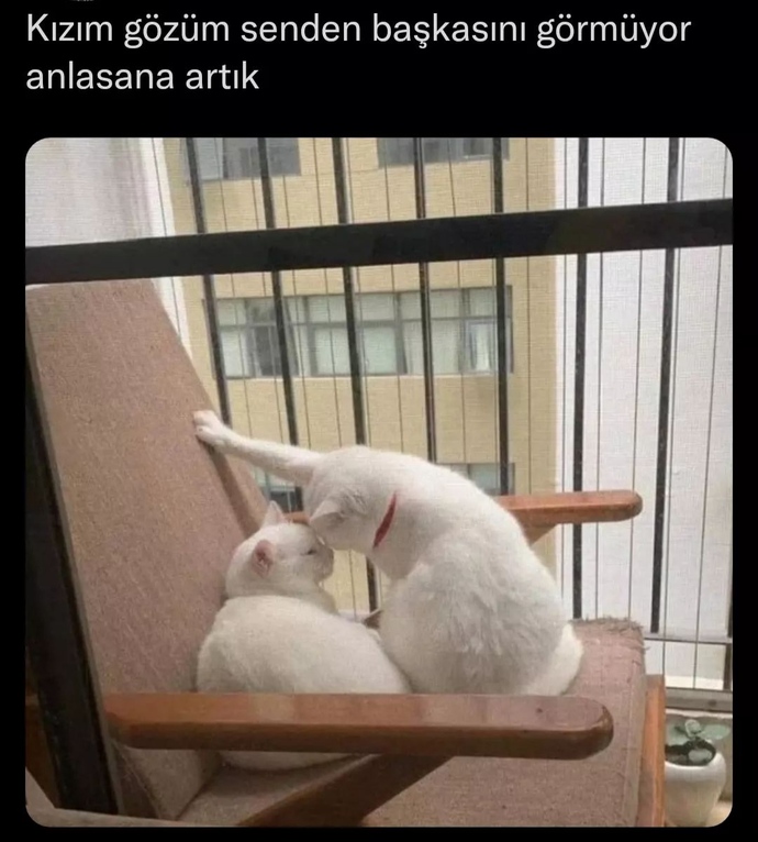 İlişkilerinizde sadık mısınız, yoksa herkese yeşil ışık yakan mı?