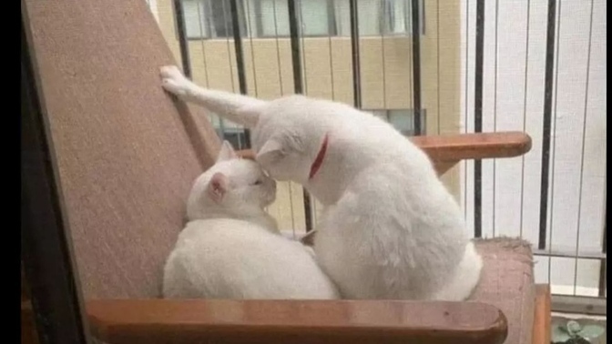 İlişkilerinizde sadık mısınız, yoksa herkese yeşil ışık yakan mı?