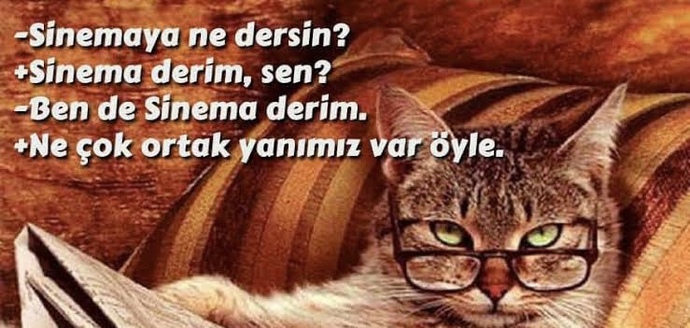 Sözlerinizi inatla yanlış anlayanlar oluyor mu?