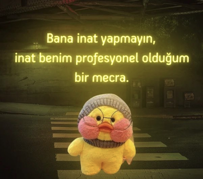 İnatçı olmayı nasıl öğrendik😄?