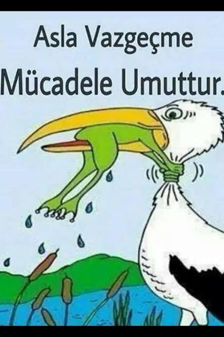 Umutsuzluğa kapıldığınızda pes mi edersiniz gayret mi edersiniz?