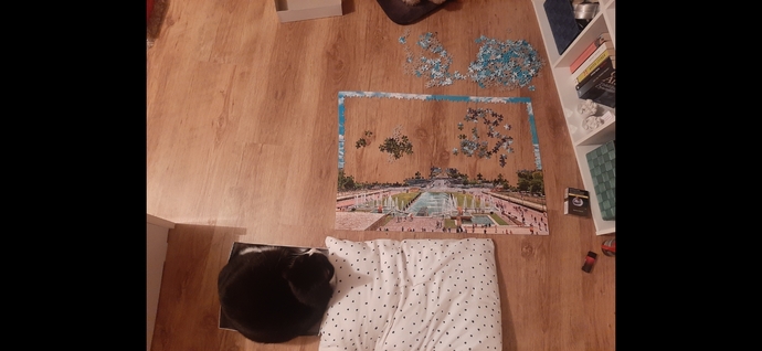 Minnoşumun puzzle kutusunun içine girip bana eşlik etmesi, keşke bir pati yardımın olsa Minnoş.(: ♡