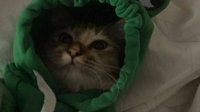 Günaydın diyeniniz var mı, dediler mi bu sabah?