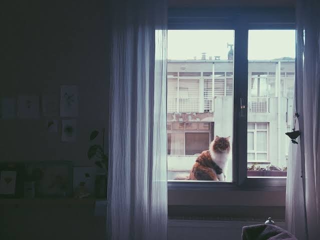 Perdeleri açık bir evi izler misiniz?
