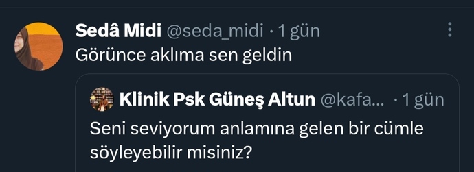 Seni seviyorum anlamına gelen bir cümle söyleyebilir misiniz?