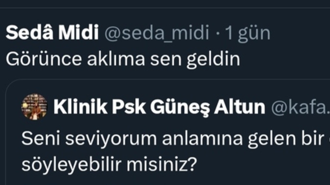 "Seni seviyorum" anlamına gelen bir cümle söyleyebilir misiniz?