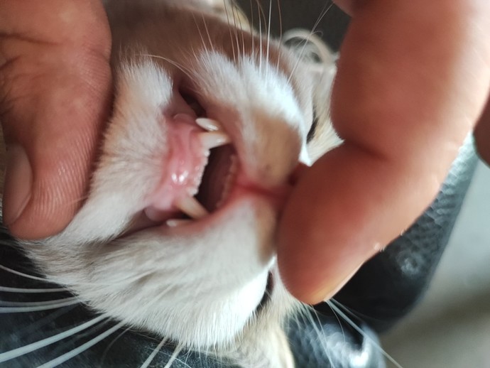 Fotoğraf çekmeyi sever misiniz 😳?