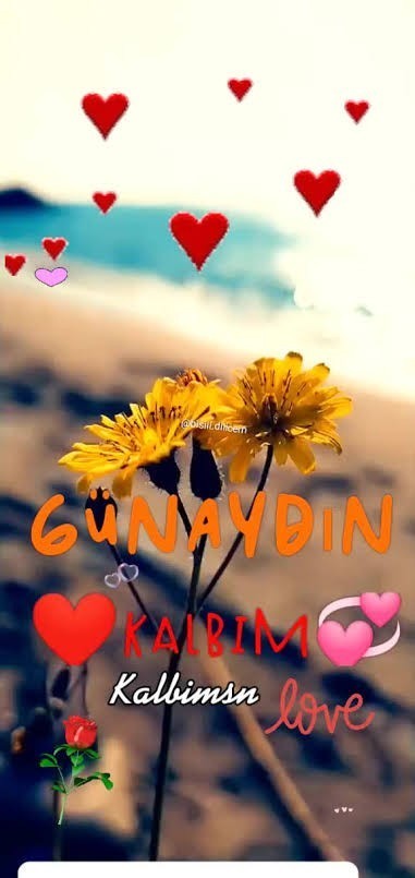 Sevgiliniz size günaydın mesajı atmayı unutursa ona trip atar mısınız?