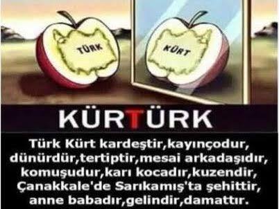 Türk olup Kürtçe şarkı seven var mı?
