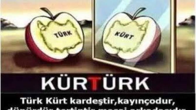 Türk olup Kürtçe şarkı seven var mı?