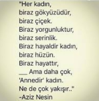 Eic seçmen açık mı bı eic hakketim bence 😺
