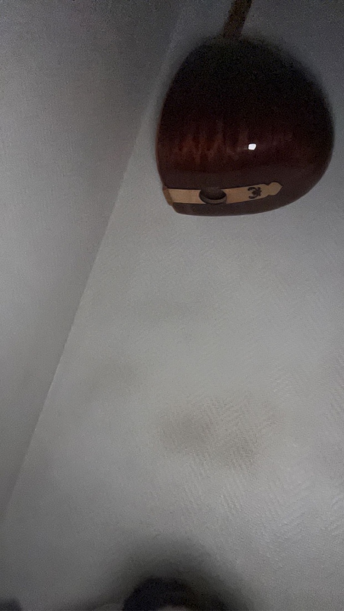 Yatağımın tam başucunda saz var, bir şey olur mu?