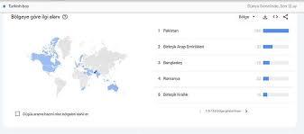 Googleda en çok Türk kız çocuğu ve erkek çocuğu kavramlarını aratan Pakistan oldu, düşünceniz nedir?