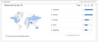 Googleda en çok Türk kız çocuğu ve erkek çocuğu kavramlarını aratan Pakistan oldu, düşünceniz nedir?