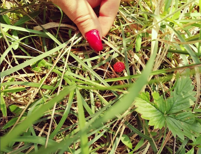 Minnie 🍓