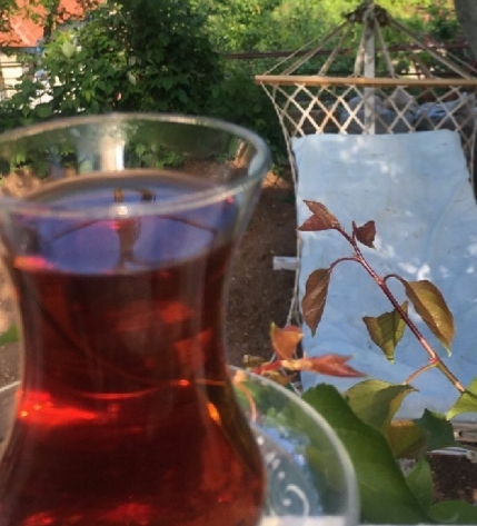 Doğayla iç içe mislercesine...😎😍🚬☕✌