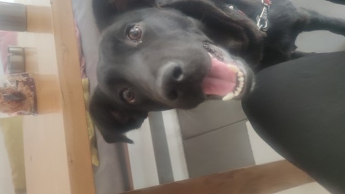 Masamın altından böyle bir şey bana bakıyor şu anda, ne yapayım?