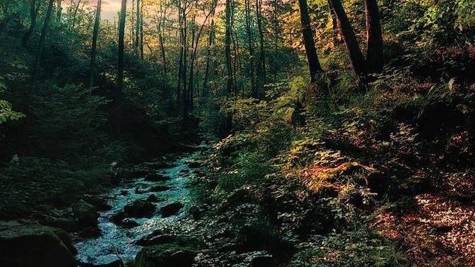 İnsanın istediği her hazza teknoloji sayesinde olağanüstü kolay erişmesi ihtimali, ileride aşk ve bağlılığı tümden yok eder mi?
