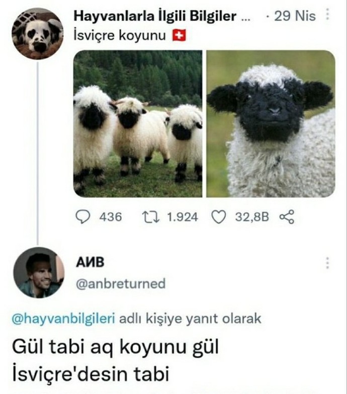 Hangi ülkede yaşamak istersiniz?