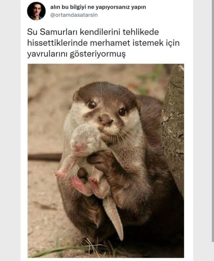 Kendinizi en son ne zaman pozitif hissettiniz?