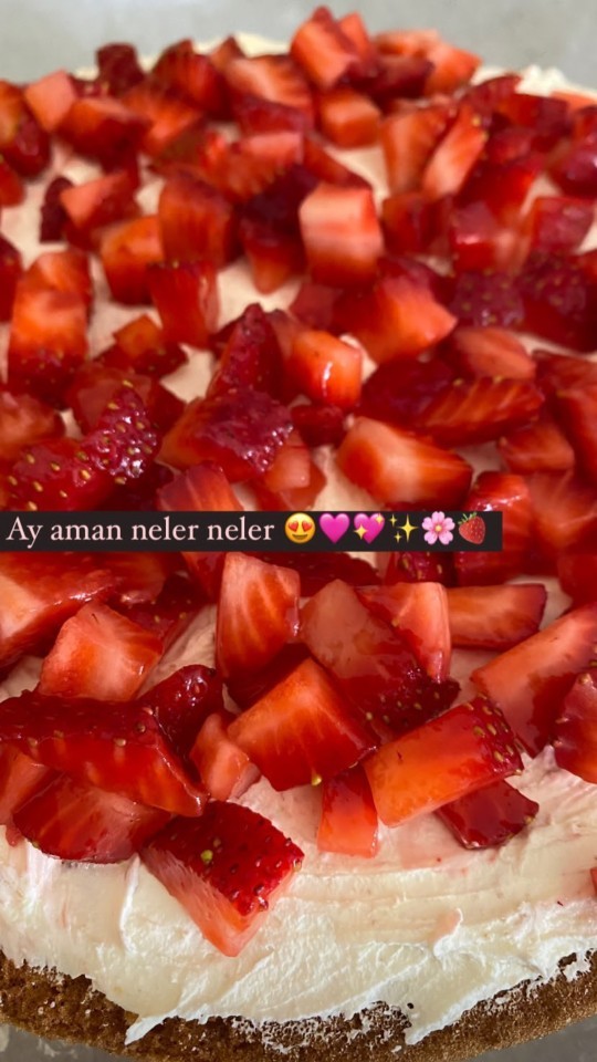 Size çilekli kremalı pasta yapsam yer miydiniz?