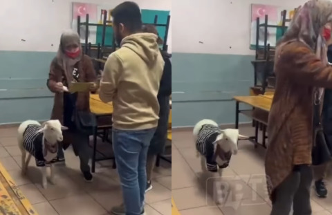 Bir seçmen oy kullanmaya kuzusu ile birlikte gitmiş. :D Siz tek mi gittiniz?
