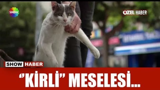 Arkadaşlar "kirli" gibi olanlar var mı?