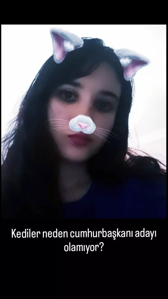 Kediler neden cumhurbaşkanı adayı olamıyor?
