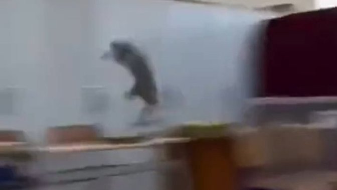 Hayatınızda güldüğünüz en komik olay neydi?