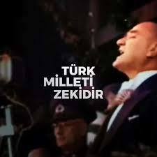 Türk milleti zeki midir?