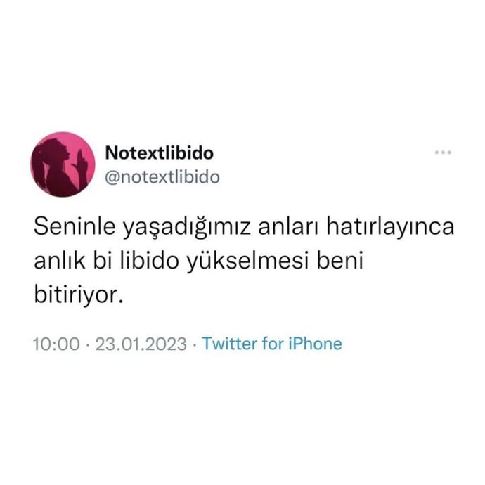 Eski partnerle yaşanan sevişmeler anımsanınca anlık libido yükselmesi olabilir mi?