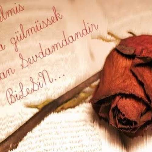 Sizce Bi İnsanın Karakteri mi Daha Çok Sevilir, Yoksa Tipi Falan mı Görmeden Sevmek Mümkün mü? Mesela Duruşunu! ?