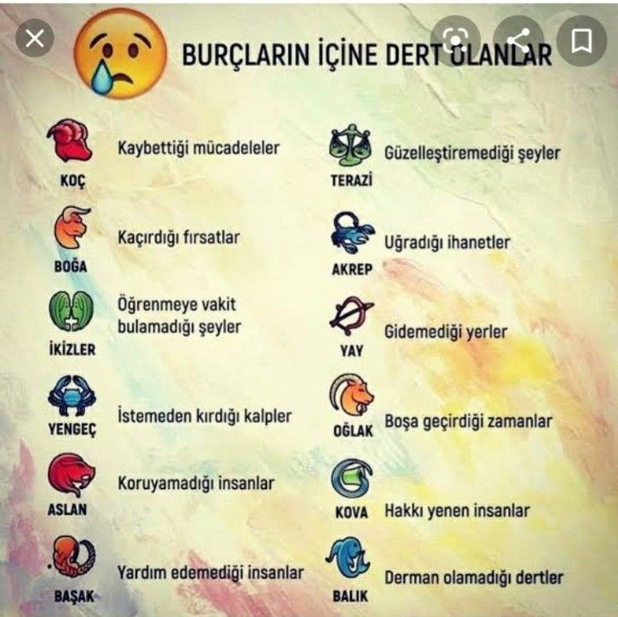 Size hangi özellik hitap ediyor?