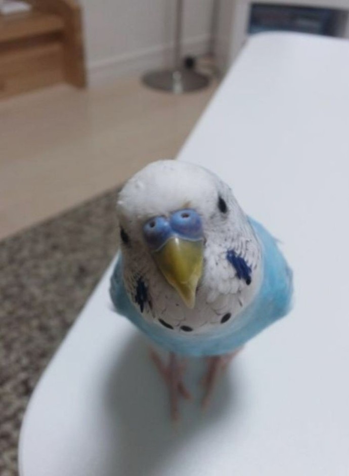 Uykusuzluk mu daha kötü, umutsuzluk mu?