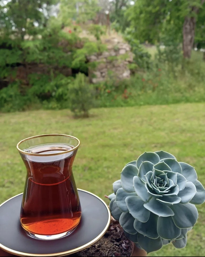 Kahve, çay, Türk kahvesi... Bugün güne hangisiyle başlayalım?