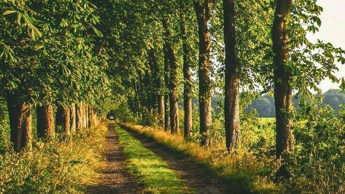 Yürüyüş yapmayı seviyor musunuz🏃‍♂️?