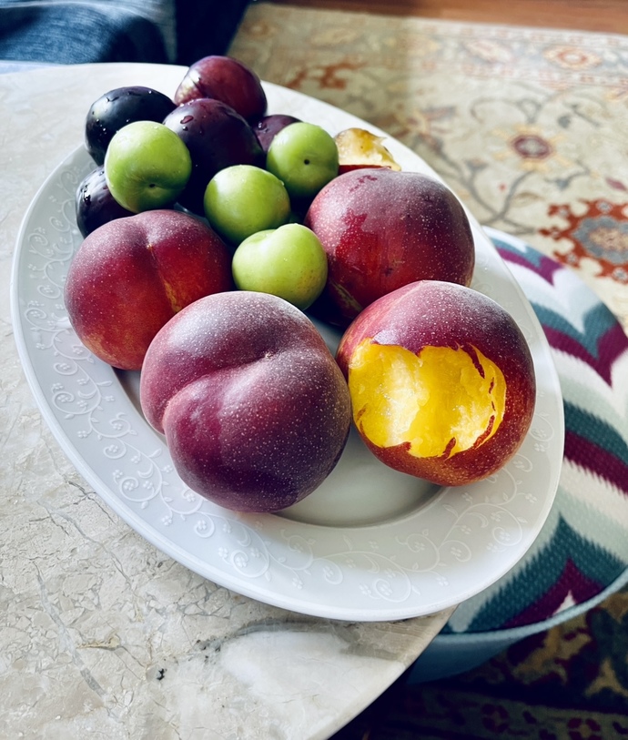 Şeftali 🍑 sezonunu açtın mı? Sever misin şeftali 🍑 😜?