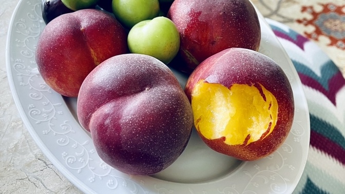 Şeftali 🍑 sezonunu açtın mı? Sever misin şeftali 🍑 😜?