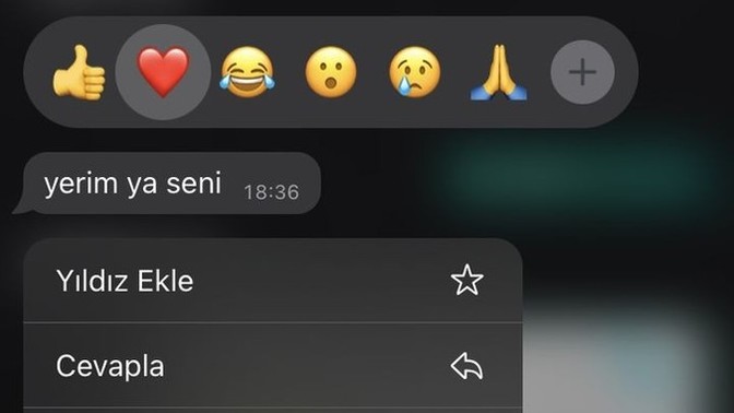 "Yerim seni" mesajına ne cevap verilir?