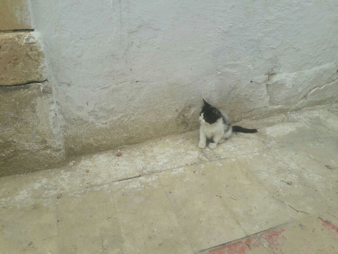 Canınız sikılınca ne yapıyorsunuz?