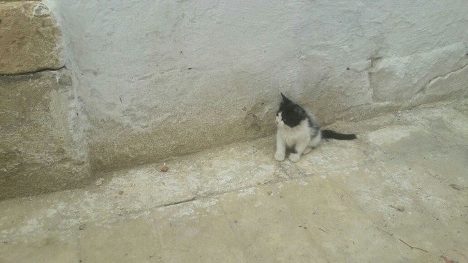 Canınız sikılınca ne yapıyorsunuz?