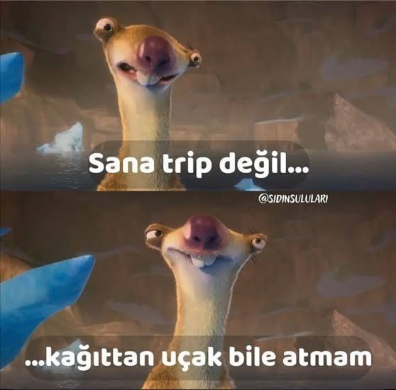Trip atan erkek çekilir mi?