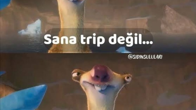Trip atan erkek çekilir mi?