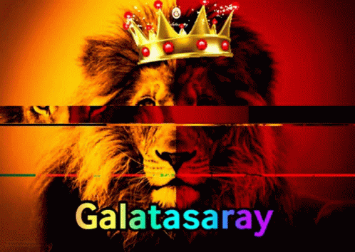 Galatasaray Şampiyon oldu tebrik mesajları aldınız mı ya da  attınız mı?