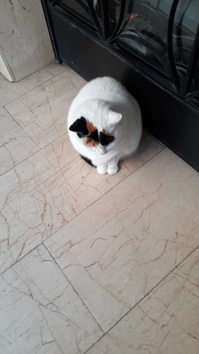 Güne kimi görerek başlıyorsunuz?
