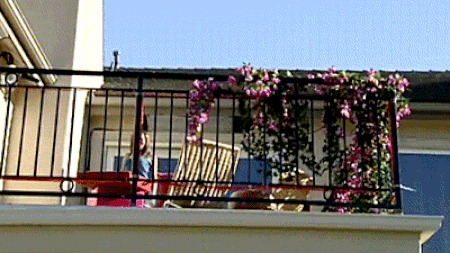 Cevapla, perde kazan! Sana göre balkon keyfini kaçıran durumlar neler?