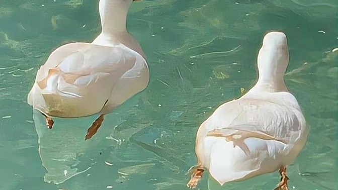 Hayatınızın geri kalanına bir hayvan olarak devam edecek olsanız ne olurdunuz?