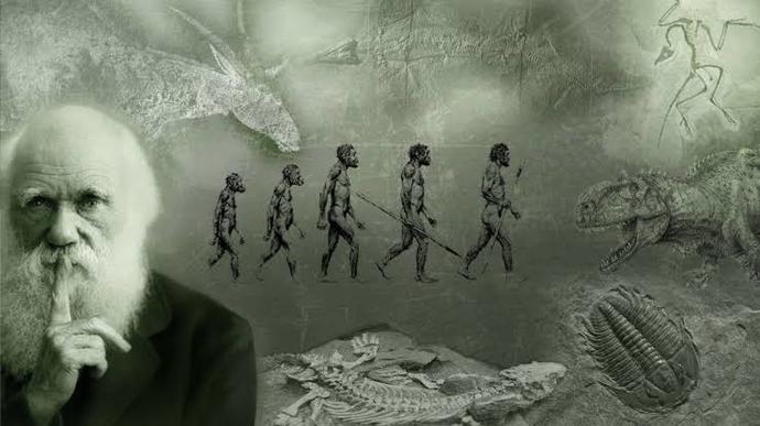 Evrim neden liselerde öğretilmiyor?