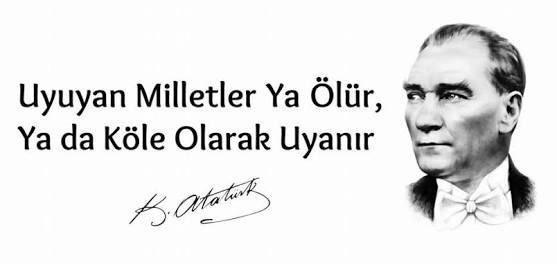 Evrim neden liselerde öğretilmiyor?