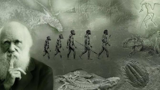 Evrim neden liselerde öğretilmiyor?